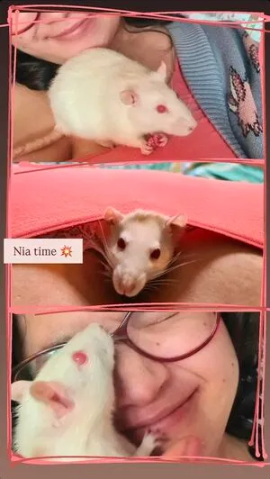 Janineaam OnlyFans Leaked Free Thumbnail Picture - #rSXh5btAYd