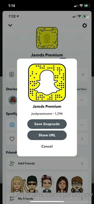 Jarodppv OnlyFans Leaked Free Thumbnail Picture - #SgmK1K24XY