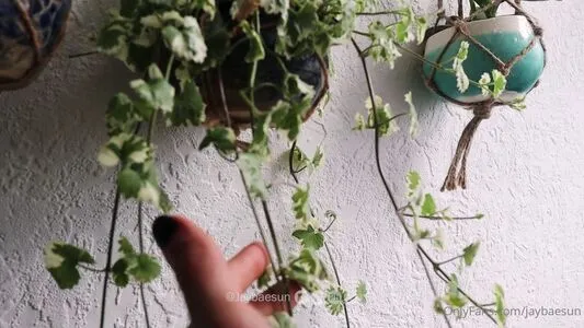 Jaybaesun OnlyFans Leaked Free Thumbnail Picture - #AdsSgUZQbm