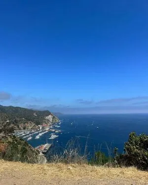 Jaycee H OnlyFans Leaked Free Thumbnail Picture - #PxJqWKcuuD