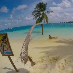 Jaydencole OnlyFans Leaked Free Thumbnail Picture - #RNuKOTyvfa