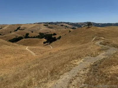 Jayinmyd OnlyFans Leaked Free Thumbnail Picture - #P7wHYmnSLw