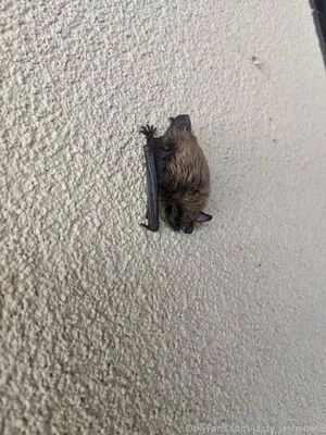 Jazzy Jasmine OnlyFans Leaked Free Thumbnail Picture - #hbkMNIeeHV