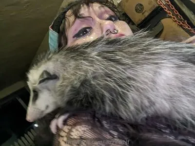 Jazzy Wolf OnlyFans Leaked Free Thumbnail Picture - #ZNuRNrzRyi