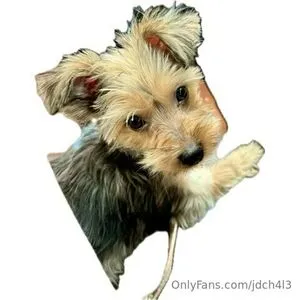 Jdch4l3 OnlyFans Leaked Free Thumbnail Picture - #NKJfmL4yyX