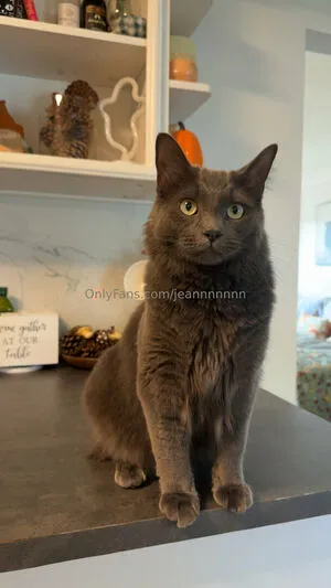 Jeannnnnnn OnlyFans Leaked Free Thumbnail Picture - #EZ7QLbiH9i