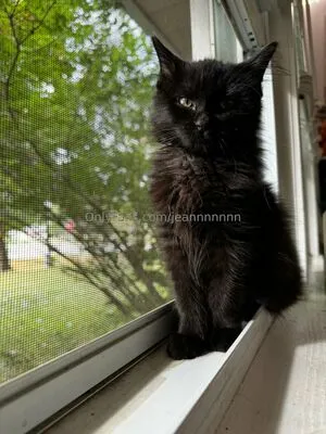 Jeannnnnnn OnlyFans Leaked Free Thumbnail Picture - #EeNpelIke3