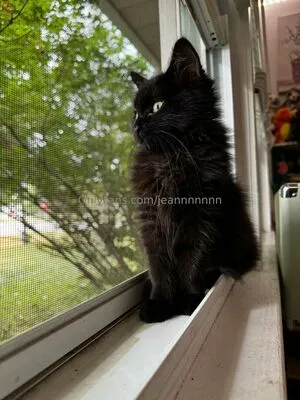 Jeannnnnnn OnlyFans Leaked Free Thumbnail Picture - #O4O1TxqlEw