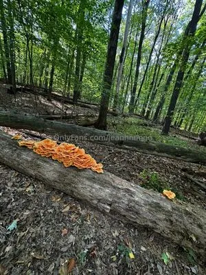 Jeannnnnnn OnlyFans Leaked Free Thumbnail Picture - #QQGebhaDR5