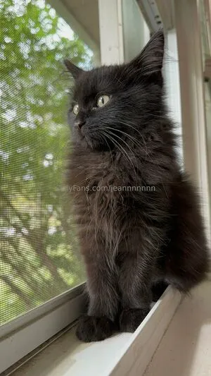 Jeannnnnnn OnlyFans Leaked Free Thumbnail Picture - #ohwbQv9sBV