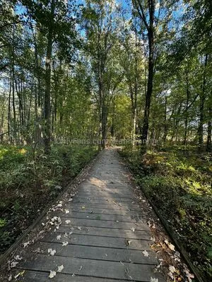 Jeannnnnnn OnlyFans Leaked Free Thumbnail Picture - #rhHSfss3fg