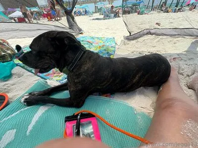 Jegga13 OnlyFans Leaked Free Thumbnail Picture - #bGJD3OGQSA