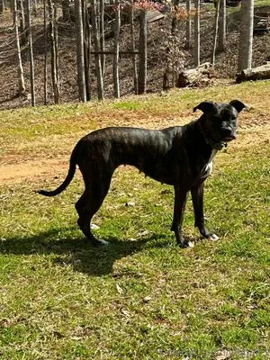 Jegga13 OnlyFans Leaked Free Thumbnail Picture - #k6MESFa6sE