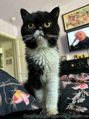 Jenna Valentine OnlyFans Leaked Free Thumbnail Picture - #YRU6FgJ7PU