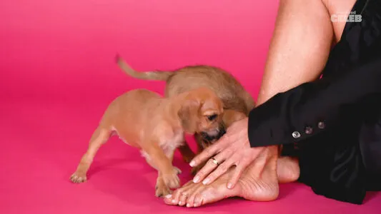 Jennifer Aniston OnlyFans Leaked Free Thumbnail Picture - #OJB12MTKYJ