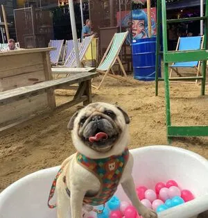 Jennynextdoorgirl OnlyFans Leaked Free Thumbnail Picture - #URAEHYZfCO