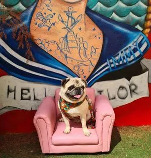 Jennynextdoorgirl OnlyFans Leaked Free Thumbnail Picture - #XTKoYL6EAY