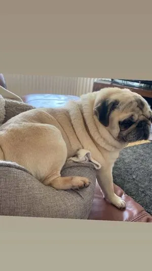 Jennynextdoorgirl OnlyFans Leaked Free Thumbnail Picture - #xjOOhp9I9Y