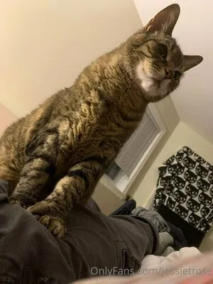 Jessietrose OnlyFans Leaked Free Thumbnail Picture - #AWahnigqSF