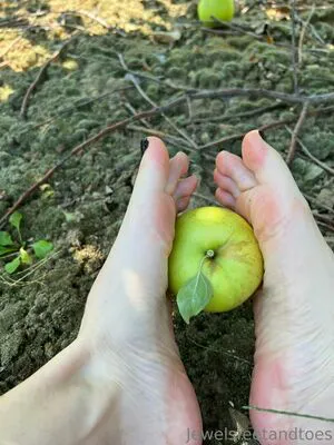 Jewelsfeetandtoes OnlyFans Leaked Free Thumbnail Picture - #OLxuJ3i9RG
