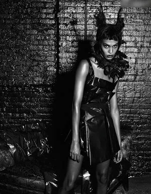 Joan Smalls OnlyFans Leaked Free Thumbnail Picture - #1ZMHhQDr5c