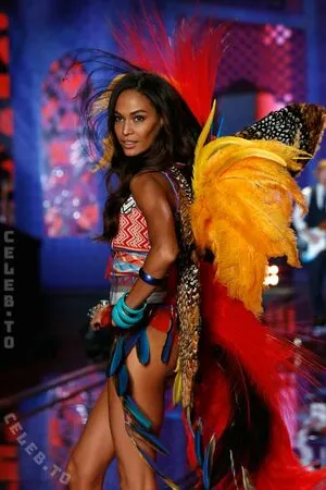 Joan Smalls OnlyFans Leaked Free Thumbnail Picture - #5KxZ3wANPJ