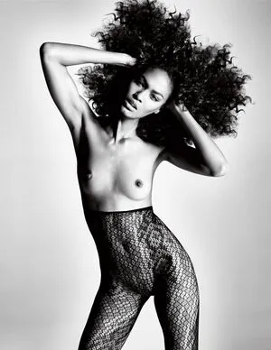 Joan Smalls OnlyFans Leaked Free Thumbnail Picture - #77ujuYDdJ5