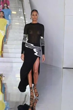 Joan Smalls OnlyFans Leaked Free Thumbnail Picture - #DL1nMUbGAL