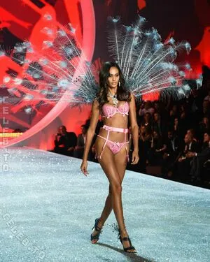 Joan Smalls OnlyFans Leaked Free Thumbnail Picture - #VkgfTA5rtX