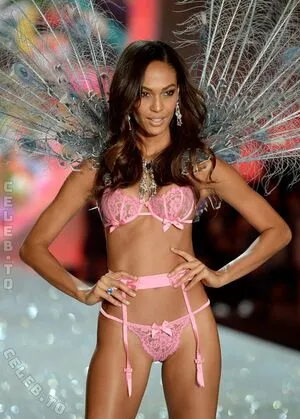 Joan Smalls OnlyFans Leaked Free Thumbnail Picture - #dT14jqe9KA