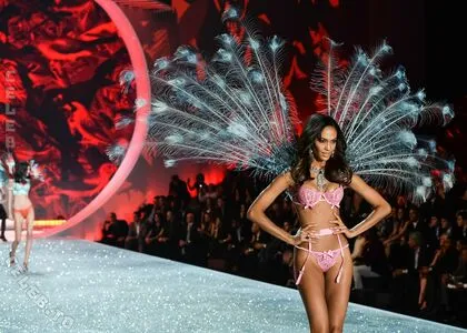 Joan Smalls OnlyFans Leaked Free Thumbnail Picture - #vcsdehpZ8w