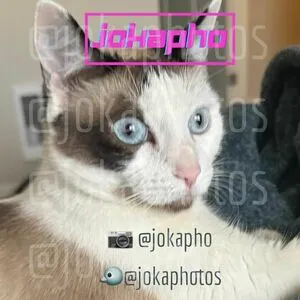 Joka Photos OnlyFans Leaked Free Thumbnail Picture - #SK1nJtZ6xa