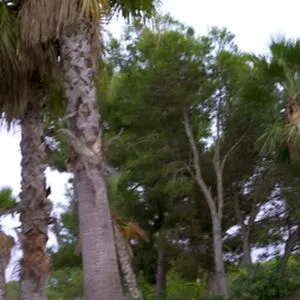 Jolla Pr OnlyFans Leaked Free Thumbnail Picture - #AaZ9oIeoON