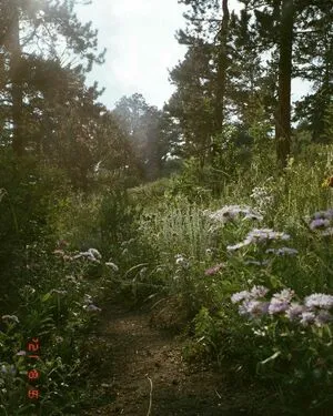 Jordy Bo Bordy OnlyFans Leaked Free Thumbnail Picture - #AD8AZLH3KN