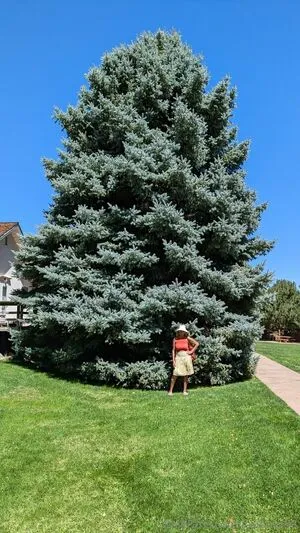 Josieray88 OnlyFans Leaked Free Thumbnail Picture - #GeGEFPP2nI