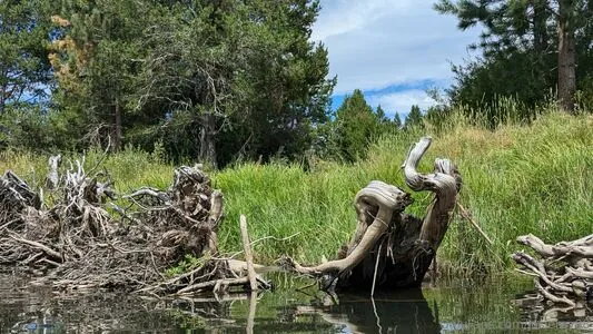 Josieray88 OnlyFans Leaked Free Thumbnail Picture - #GmAHekHMMB