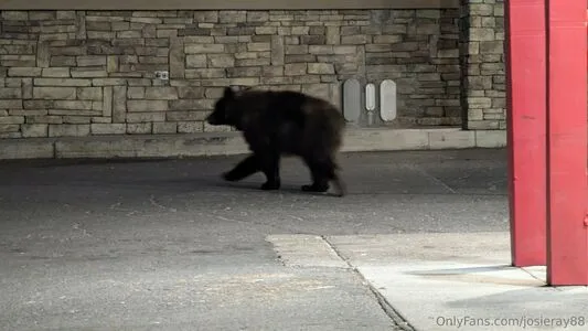 Josieray88 OnlyFans Leaked Free Thumbnail Picture - #ZbWwf284To