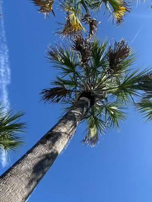 Jpl Fit OnlyFans Leaked Free Thumbnail Picture - #4VI63ZE2ob