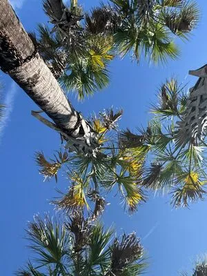 Jpl Fit OnlyFans Leaked Free Thumbnail Picture - #6gSpL6Qx8O