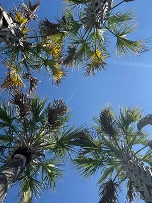 Jpl Fit OnlyFans Leaked Free Thumbnail Picture - #BttmXHKFXF