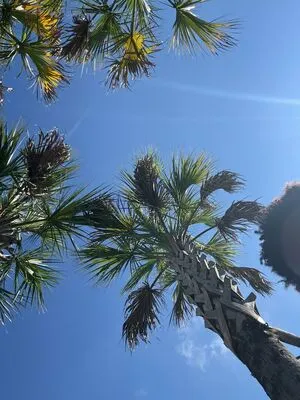 Jpl Fit OnlyFans Leaked Free Thumbnail Picture - #Bxtm6X4xzn