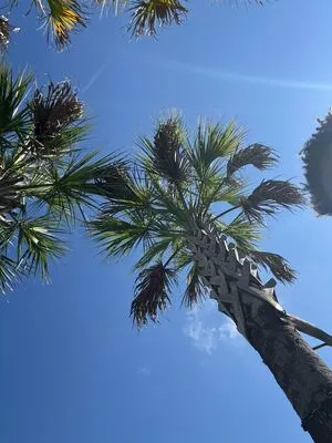 Jpl Fit OnlyFans Leaked Free Thumbnail Picture - #EZpIJZFZFu