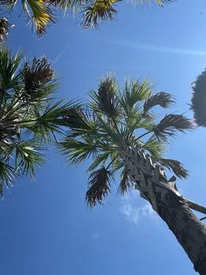 Jpl Fit OnlyFans Leaked Free Thumbnail Picture - #k7thlHqW0p