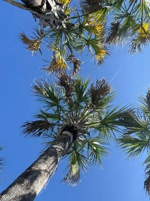 Jpl Fit OnlyFans Leaked Free Thumbnail Picture - #pDGguHVsIm