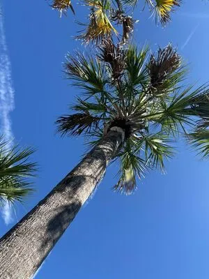 Jpl Fit OnlyFans Leaked Free Thumbnail Picture - #zc4vxYOdCh