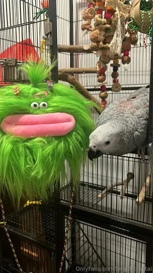 Juglypuff OnlyFans Leaked Free Thumbnail Picture - #HVQL89Qwxr