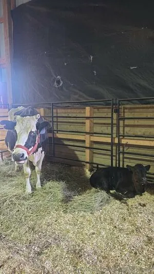 Juicyjaneeeee OnlyFans Leaked Free Thumbnail Picture - #9cr7QRDpZp