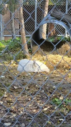 Juicyjaneeeee OnlyFans Leaked Free Thumbnail Picture - #IiKrFqKU07