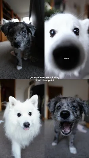 Julia Reppel OnlyFans Leaked Free Thumbnail Picture - #0h9TVFlc3F