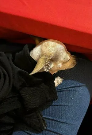 Julianne Darlen OnlyFans Leaked Free Thumbnail Picture - #dTFfr02Pik